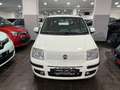 Fiat Panda EMOTION 1.2 BENZ/GPL 70CV EASYPOWER - IMPIANTO GPL Bianco - thumbnail 12