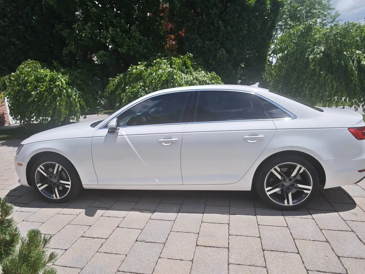 Audi A4 fotografie Audi A4