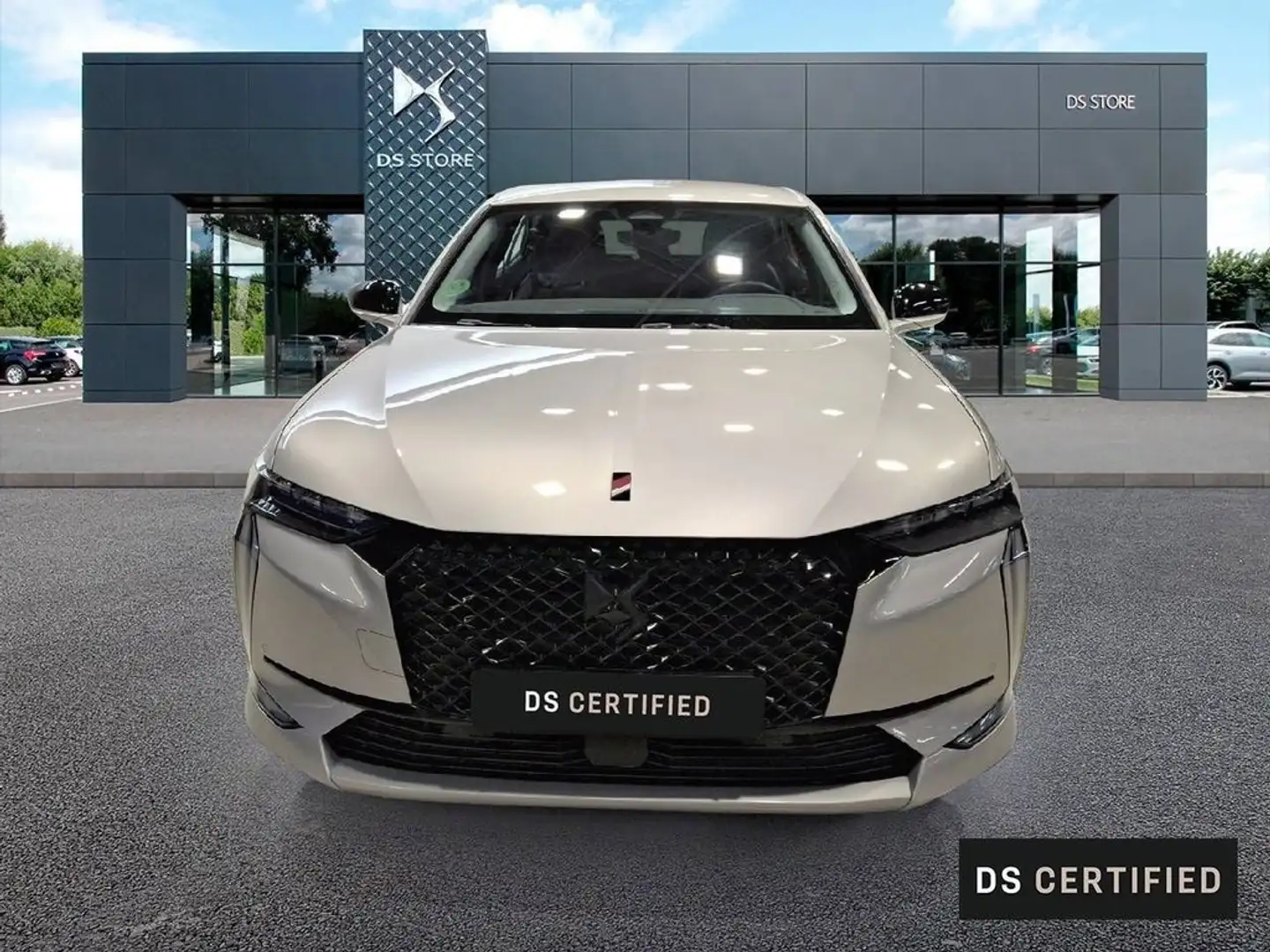 DS Automobiles DS 4 BlueHDi Performance Line Aut. 130 Gris - 2