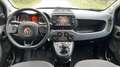 Fiat Panda 1.0 70 Hybrid BSG Cross - Entretien constructeur - thumbnail 11