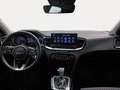 Kia 1.5 MHEV 118kW (160CV) Tech DCT Green - thumbnail 8