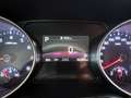 Kia 1.5 MHEV 118kW (160CV) Tech DCT Green - thumbnail 14