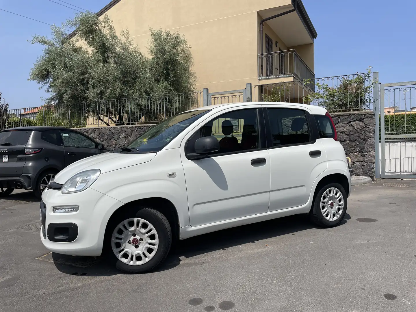 Fiat Panda 1.2 Easy 69cv Bianco - 2
