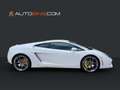 Lamborghini Gallardo LP560-4 E-Gear*RFK*Lift*Kamera*Sitzh.* Weiß - thumbnail 7