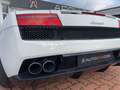 Lamborghini Gallardo LP560-4 E-Gear*RFK*Lift*Kamera*Sitzh.* Weiß - thumbnail 17