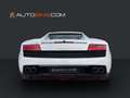 Lamborghini Gallardo LP560-4 E-Gear*RFK*Lift*Kamera*Sitzh.* Weiß - thumbnail 5