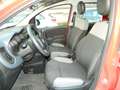 Fiat Panda 1.0 FireFly 70CV HYBRID - UNIPRO TAGLIANDATA Rouge - thumbnail 13