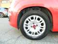 Fiat Panda 1.0 FireFly 70CV HYBRID - UNIPRO TAGLIANDATA Rojo - thumbnail 8