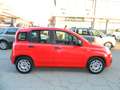 Fiat Panda 1.0 FireFly 70CV HYBRID - UNIPRO TAGLIANDATA Rood - thumbnail 9