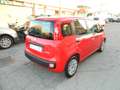 Fiat Panda 1.0 FireFly 70CV HYBRID - UNIPRO TAGLIANDATA Rojo - thumbnail 6