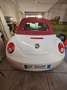 Volkswagen New Beetle Cabrio 1.8t Limited Red Edition Fehér - thumbnail 4