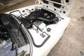 BMW 2.5 CS Wit - thumbnail 26
