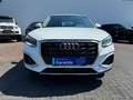 Audi Q2 35 TFSI advanced *1. Hand *ACC Weiß - thumbnail 17