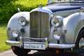 Bentley Mk VI HJ Mulliner Lightweight Grijs - thumbnail 15