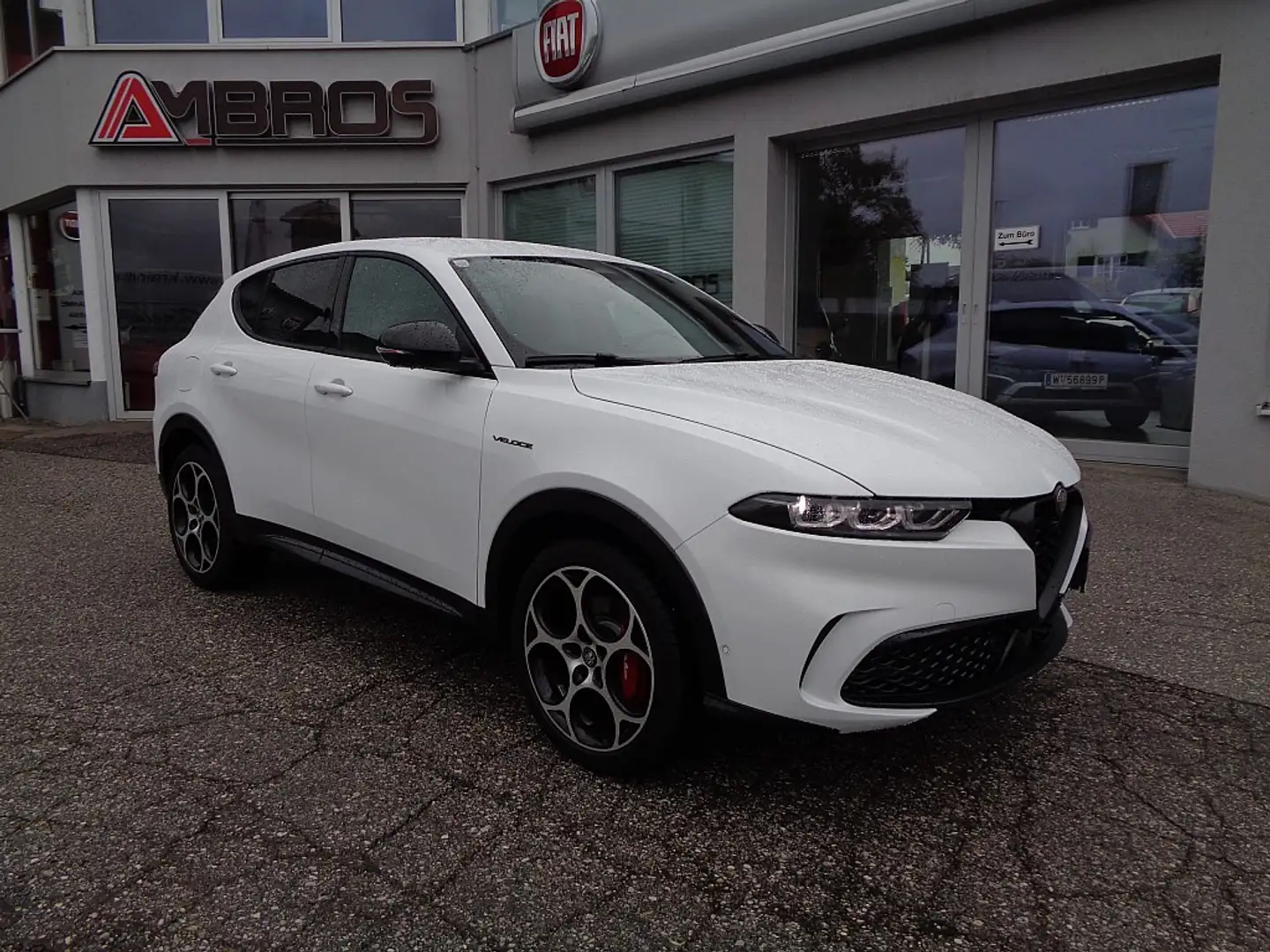 Alfa Romeo Tonale Veloce ALLRAD 1.3 T4 PHEV VGT e-AWD Weiß - 1