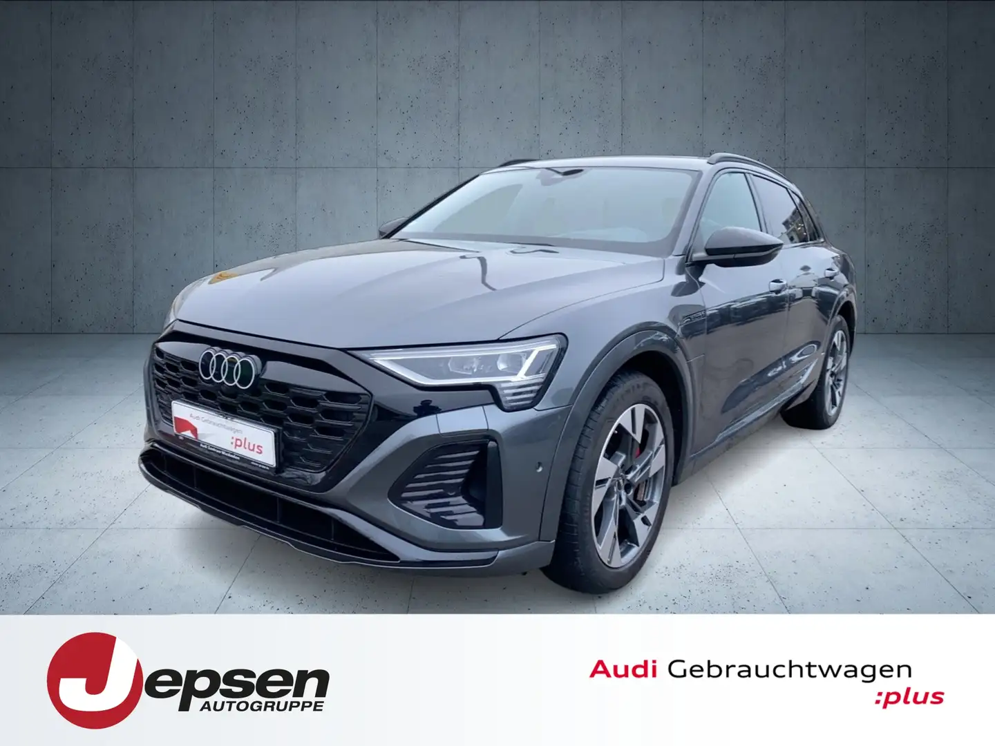 Audi Q8 e-tron S line 50 qu. HUD Matrix Tour 20 Cam Grau - 1