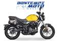Voge Trofeo 350 2025 350 AC - PAT.A2 NUOVO DA IMMATRICO Giallo - thumbnail 1