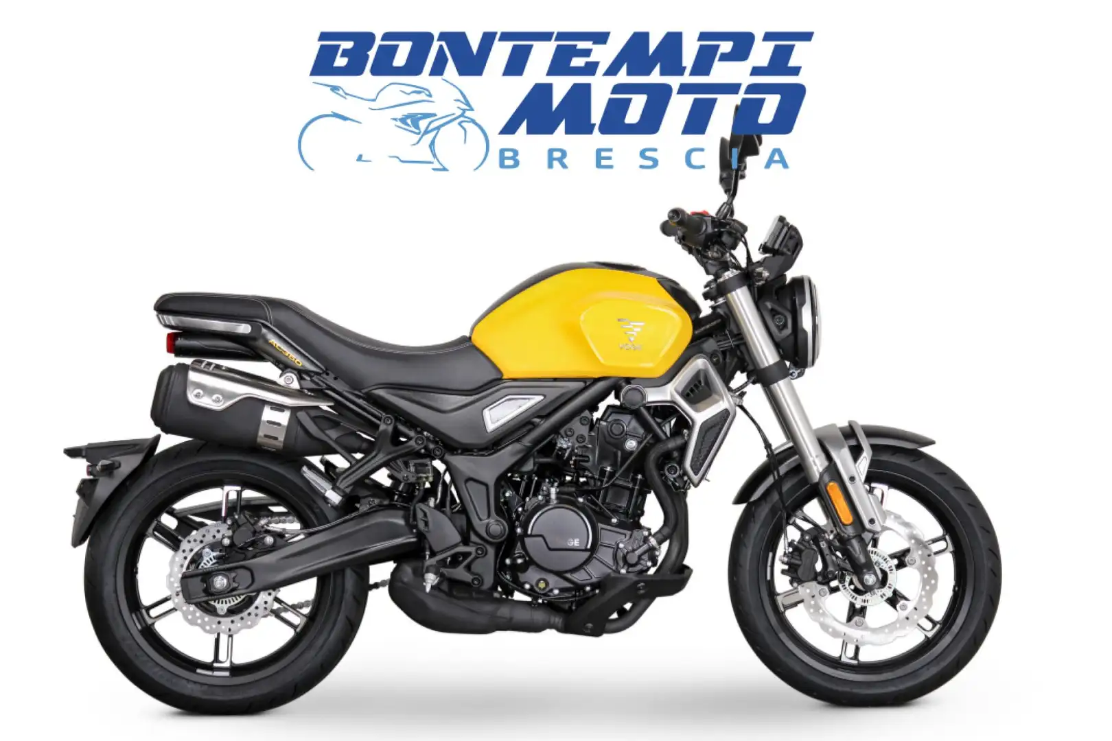 Voge Trofeo 350 2025 350 AC - PAT.A2 NUOVO DA IMMATRICO Giallo - 1