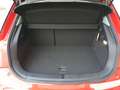 Audi A1 1.6 TDI Ambition 90cv S-Line Rosso - thumbnail 13