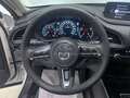 Mazda CX-30 2.5 e-Skyactiv-G Homura FWD 103kW Blanco - thumbnail 18