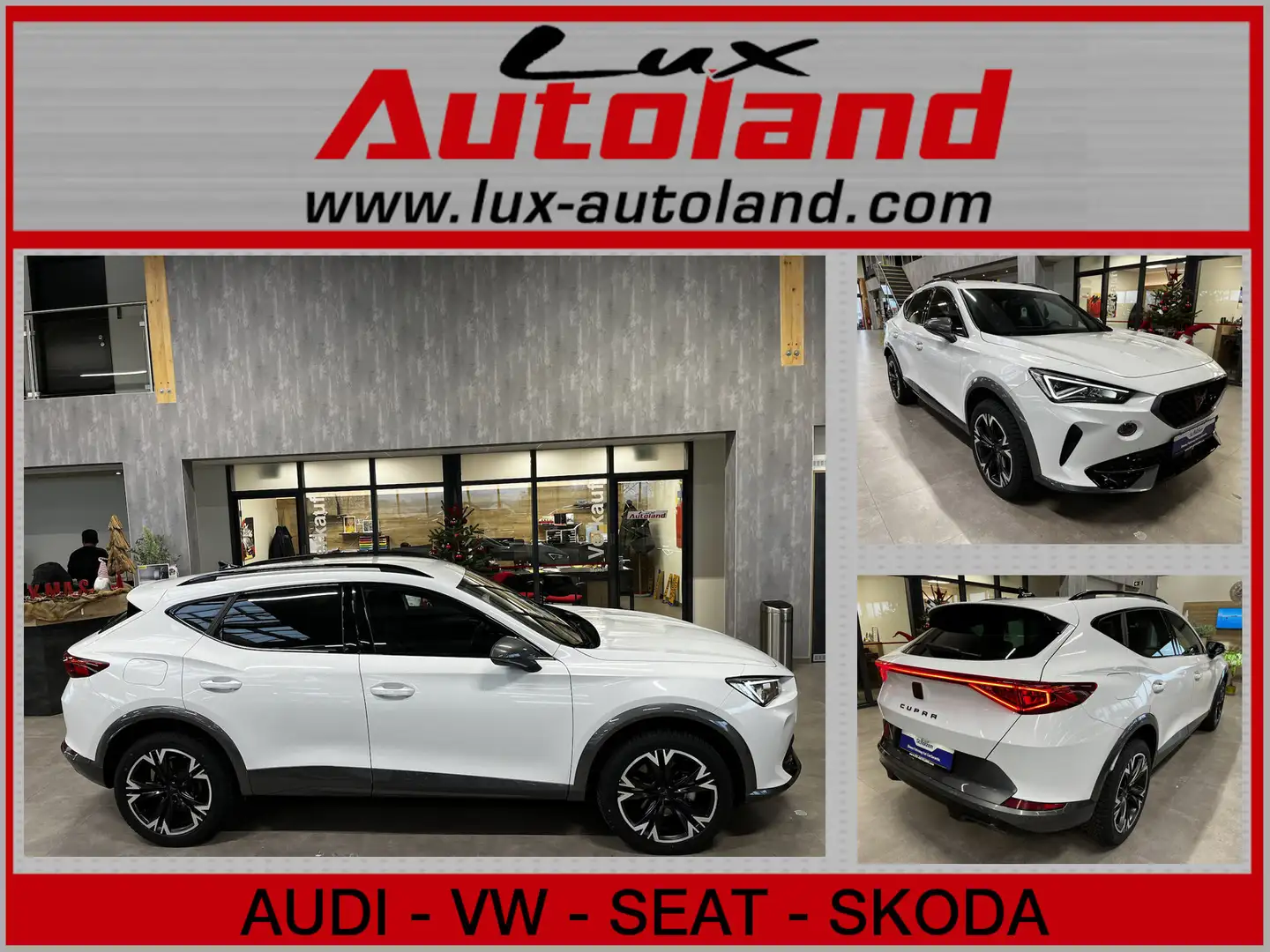 CUPRA Formentor TDI DSG 4Drive Kamera App 4JG ACC Blanc - 1