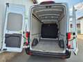 Ford Transit Kasten 350 L3 H3 Trend R-Cam PDC Blanc - thumbnail 6