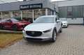 Mazda CX-30 SKYACTIV 140PS 6GS Exclusive Navi PDC SHZ Weiß - thumbnail 2