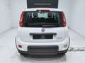 Fiat Panda 1.0 Gse Hybrid Pack Comfort Plus Wit - thumbnail 18