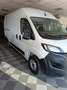 Fiat Ducato Ducato 35 2.2 Mjt 140CV PLM-TA Furgone Bianco - thumbnail 3