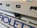 Ford Kuga ST-Line X2.5 Benzina - Full HybridAutomatica (HF45)Anteriore 2WD Weiß - thumbnail 18