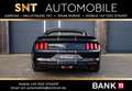 Ford Mustang 3.7 V6 SHELBY GT-Bremsanlage. (24) Noir - thumbnail 7