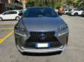 Lexus NX 300 NX I 2014 300h 2.5 F-Sport 4wd cvt Gris - thumbnail 2