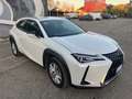 Lexus UX 200 UX 2019 250h 2.0 Business 2wd cvt Blanc - thumbnail 3