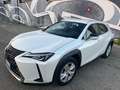Lexus UX 200 UX 2019 250h 2.0 Business 2wd cvt Blanc - thumbnail 2