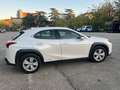 Lexus UX 200 UX 2019 250h 2.0 Business 2wd cvt Blanc - thumbnail 4
