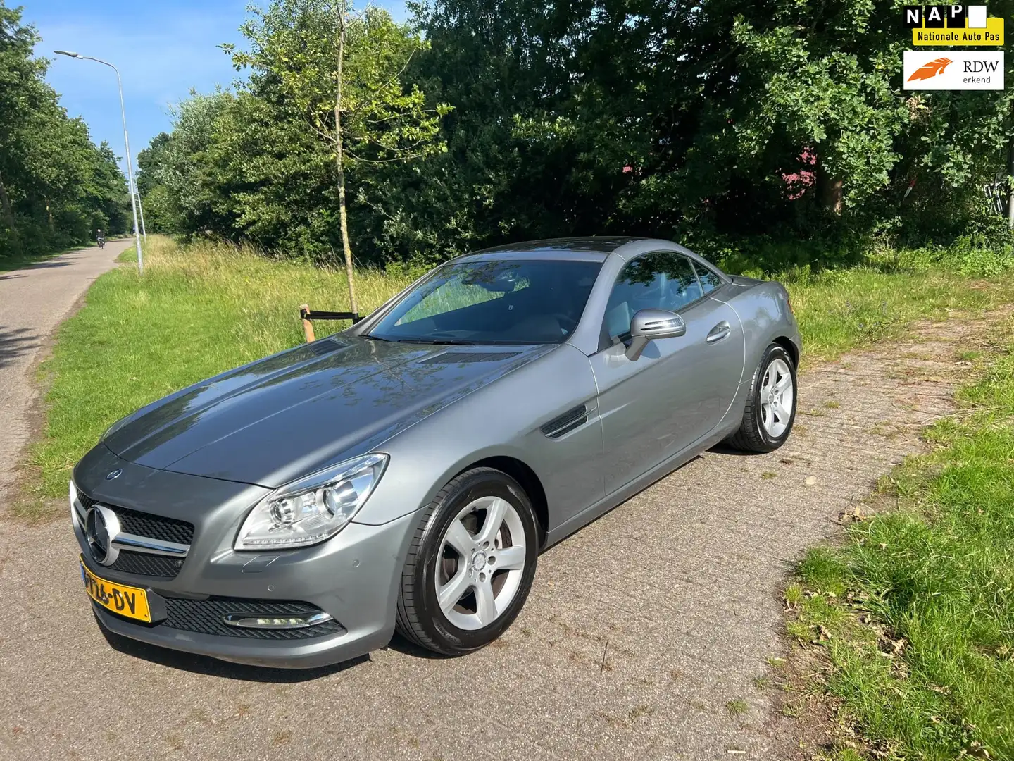 Mercedes-Benz SLK 200 CarbonLOOK Edition PANORAMADAK ECC NAVIGATIE Gris - 1