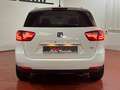 SEAT Ibiza 1.4 TDI 90cv Style Connect Bianco - thumbnail 6