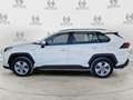 Toyota RAV 4 RAV4 2.5 HV (218CV) E-CVT 2WD Business Bílá - thumbnail 10