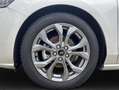 Ford Focus Turnier 1.0 Hybrid Aut. ST-LINE X *AHK *PANO Silber - thumbnail 6