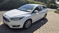 Ford Focus EcoBoost 1.0 Start-Stopp-System Weiß - thumbnail 3