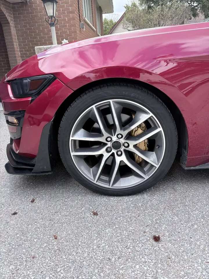 Ford Mustang fotografie Ford Mustang