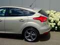 Ford Focus 1.5 150pk Titanium Edition Sport Navi Clima LED Grigio - thumbnail 11