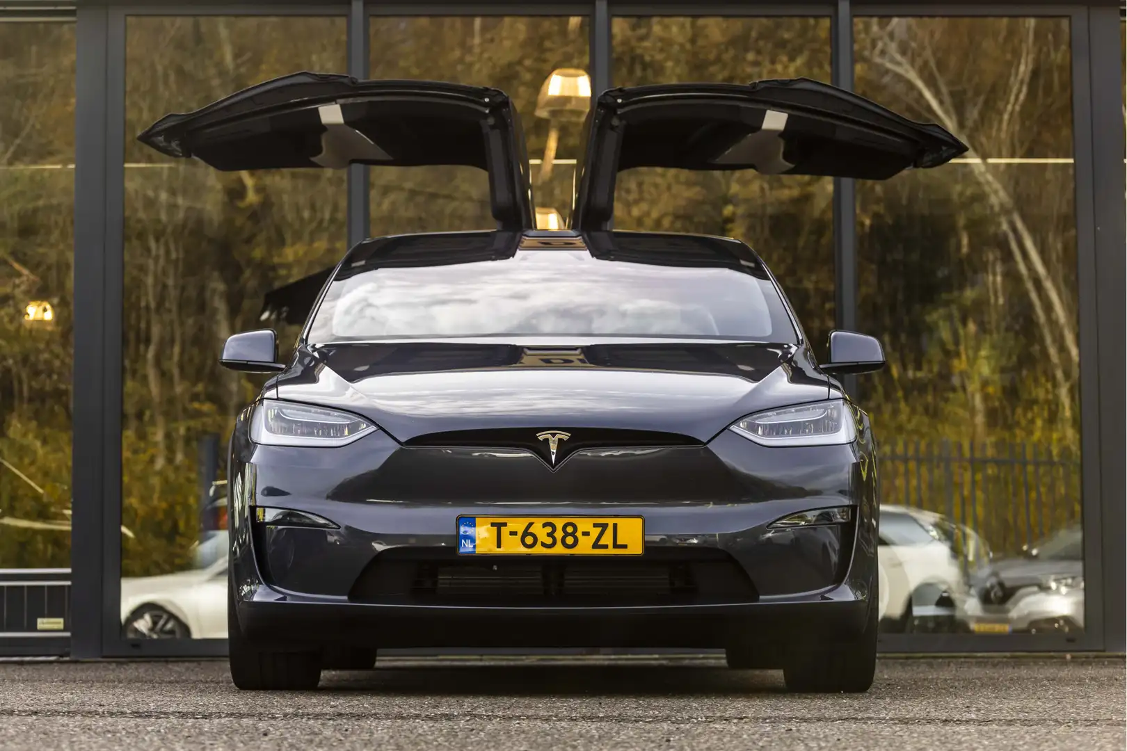 Tesla Model X Dual Motor AWDrive 6p. 100 kWh Grigio - 2