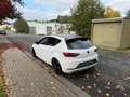 SEAT Leon FR, Sitzheizung* 1.HAND Weiß - thumbnail 6
