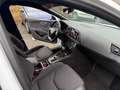 SEAT Leon FR, Sitzheizung* 1.HAND Weiß - thumbnail 25