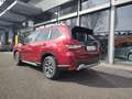 Subaru Forester 2.0ie Active Mild Hybrid Red - thumbnail 5