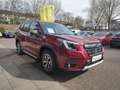 Subaru Forester 2.0ie Active Mild Hybrid Red - thumbnail 3