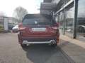 Subaru Forester 2.0ie Active Mild Hybrid Rot - thumbnail 6
