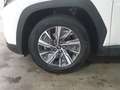 Hyundai TUCSON 1.6 CRDi Feel 7DCT Blanc - thumbnail 8