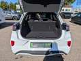 Ford Puma 1.0 ST-Line LED*NAVI*KLIMA*ALU17*SHZ*PDC*CAM Weiß - thumbnail 27